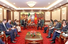 Vietnam keen on expanding trade, investment cooperation with Ireland: Minister