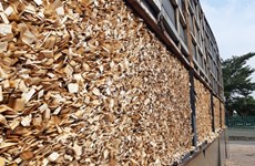 China becomes Vietnam's largest wood chip export market