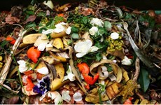 Thai researchers turn food waste into biochar