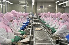 Vietshrimp 2024: Measures sought to recover shrimp industry