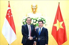 Vietnam, Singapore deepen economic, energy cooperation