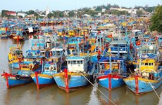  Kien Giang makes efforts to overcome EC warnings against illegal fishing