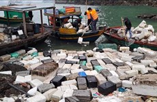 Waste collection, cleanup campaign to be launched in Ha Long Bay