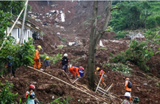 Landslide in Indonesia's West Java leaves one dead, nine missing 