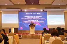 Vietnam, RoK discuss copyright challenges in digital environment