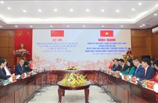 Vietnamese, Chinese front officials discuss ways to deepen ties