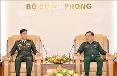 Vietnam, Cambodia foster defence cooperation 