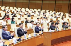 NA Standing Committee gears up for busy year with review conference
