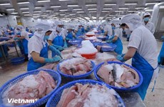 Fisheries sector’s 65th traditional day marked in Hanoi