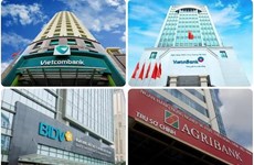 SBV approves designation of 14 important banks in 2024