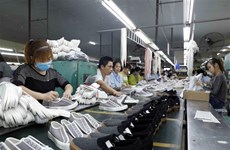Vietnam remains world's second-largest footwear exporter in February