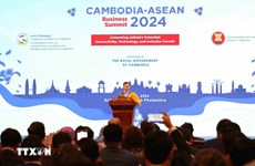 ASEAN-Cambodia Business Summit 2024 held