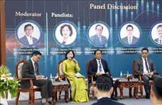Vietnam’s macro-economic achievements praised at international workshop