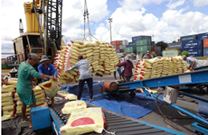 Agro-forestry-fishery exports likely to hit 54-55 billion USD