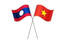 Vietnam steps up mutual judicial assistance in civil matters with Laos