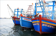 Vessels involved in IUU fishing decline sharply in Ba Ria - Vung Tau