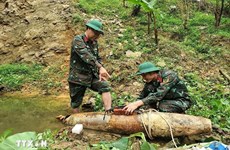 War-time bomb safely defused in Nghe An province