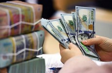 Vietnamese businesses concerned about dollar appreciation
