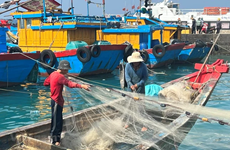 Binh Thuan works hard on combating IUU fishing
