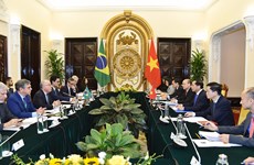 Vietnam, Brazil attach importance to bilateral ties