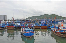 Binh Thuan registers only seaworthy vessels among its offshore fleet