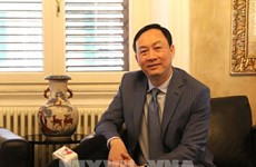 Ambassador pushes for closer ties between Vietnamese localities, Sicily region