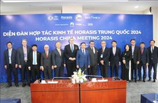 Binh Duong sees vibrant investment cooperation at Horasis China Meeting
