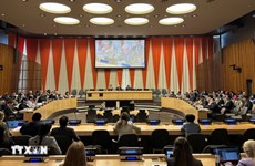 Vietnam maintains momentum on advancing gender equality: UN Women Representative