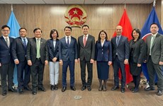 Vietnamese youth’s position in international arena to be enhanced