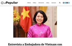 Dien Bien Phu – victory of intense patriotism: Ambassador