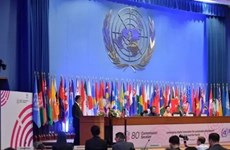 Vietnam vows to achieve Sustainable Development Goals: Diplomat