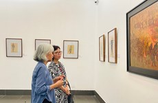 Exhibitions held to mark Dien Bien Phu Victory anniversary