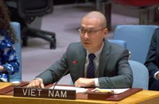 Vietnam appeals for maximum self-restraint, end to hostilities in Middle East
