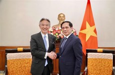 Vietnam, Japan look to step up culture, education, science, technology cooperation