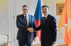 Vietnam a significant partner in Czech's foreign policy: Minister