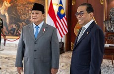 Indonesia, Malaysia step up defence cooperation