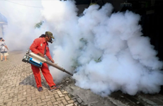 Indonesia logs threefold increase in dengue cases