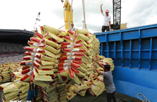 Vietnam to have enough 8 million tonnes of rice for export