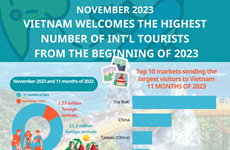 Vietnam sees record number of int'l tourists