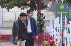 Vietnam Poetry Day features ethnic heritage in poetry treasury