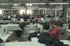 Positive indicators emerge in garment-textile sector exports
