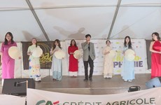 Vietnamese culture introduced at Francophone event in France