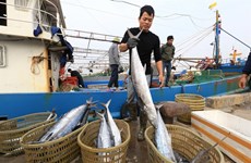 Government’s action program cracks down on illegal fishing