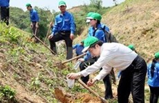 Japan helps Vietnam respond to climate change