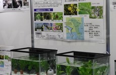Toshiba Group Holds 21st Environmental Exhibition