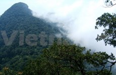 Ba Vi National Park offers escape from hustle of Hanoi 