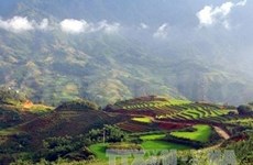 Two landscapes in Sa Pa recognised as Vietnam records 