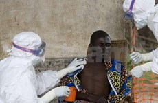 Vietnam takes measures to prevent Ebola outbreak 