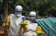 Vietnam issues action plan to prevent Ebola 