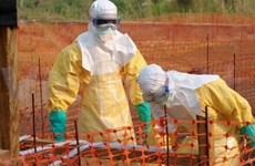 Vietnam takes measures to prevent Ebola disease 